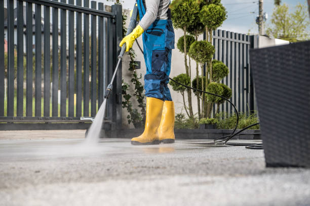 Best Solar Panel Cleaning  in Lake Orion, MI